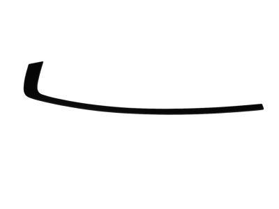 2012 Dodge Charger Door Moldings - 57010507AG