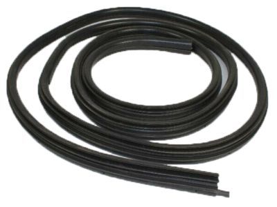 2002 Dodge Ram 3500 Weather Strip - 55276503AA