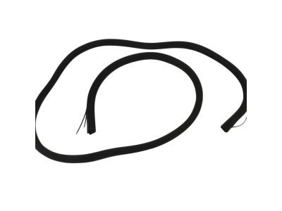 Dodge Journey Weather Strip - 5076861AG