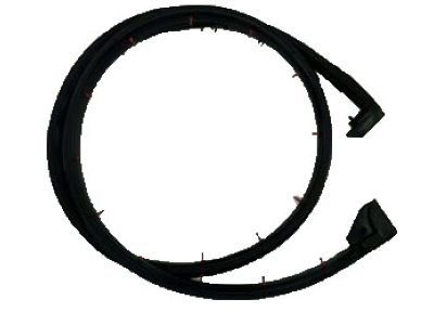 2000 Dodge Ram Van Door Seal - 55359203AA