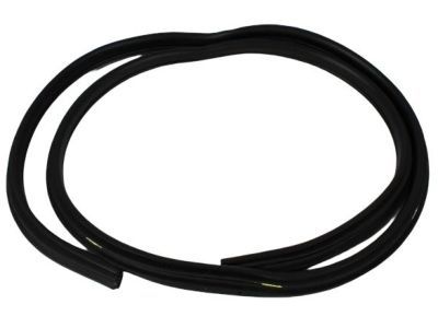 2004 Dodge Ram 3500 Weather Strip - 55275608AE