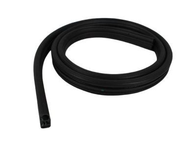 2007 Jeep Commander Weather Strip - 55369015AF