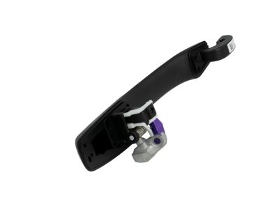 2010 Chrysler Sebring Door Handle - 4589662AA