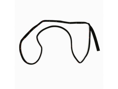 Dodge Journey Weather Strip - 5076869AC