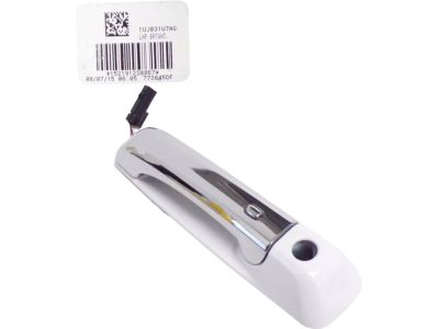 2016 Ram 3500 Door Handle - 1UJ831W7AG