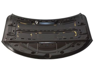 Mopar 68143614AC Hood Panel