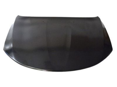 Mopar 68143614AC Hood Panel