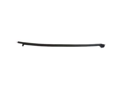 Chrysler Voyager Weather Strip - 68188722AD