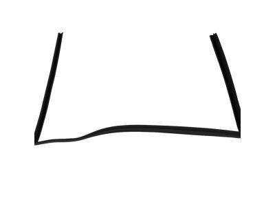 Mopar 68040039AC WEATHERSTRIP-Front Door Glass