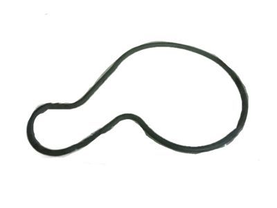 Chrysler Cirrus Water Pump Gasket - 4667663