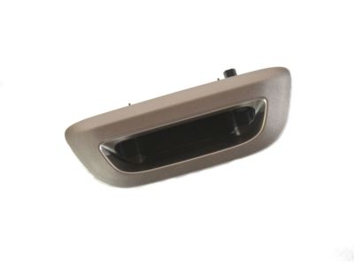 2017 Chrysler Pacifica Tailgate Handle - 5RP06PTEAA