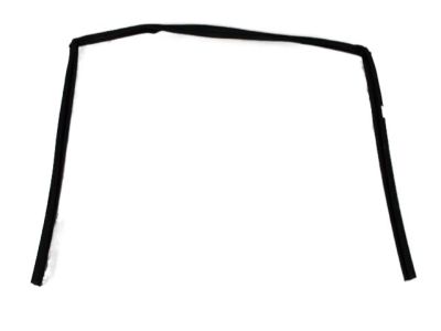 Mopar 4894928AF Channel-Front Door Glass