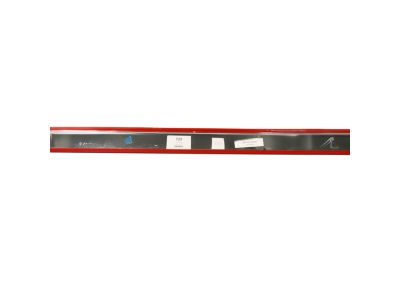 55372109AC Mopar Molding-Rear Door Product Photo 3 of 3