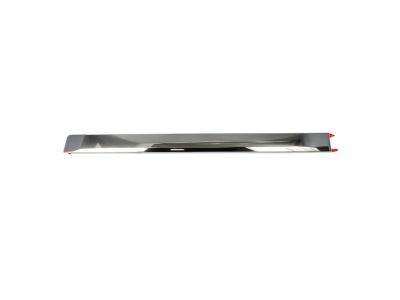 2012 Ram 1500 Door Moldings - 55372109AC