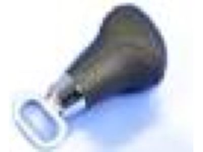 Dodge Grand Caravan Shift Knob - 1GH991DVAF
