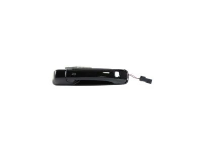 2020 Ram 2500 Door Handle - 1UJ86KXJAI