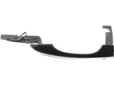 Mopar 1SZ26KXJAG Handle-Exterior Door