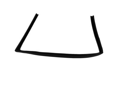 2014 Chrysler 200 Weather Strip - 5074561AI