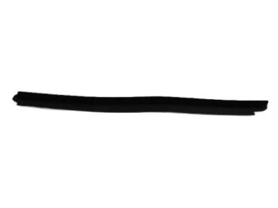 Mopar 55360644AD WEATHERSTRIP-Belt