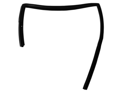 Mopar 5074019AH WEATHERSTRIP-Rear Door Flush Glass