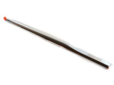 2023 Chrysler Voyager Door Moldings - 68228677AB