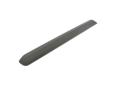 2022 Ram ProMaster City Door Moldings - 5YE20JXWAA