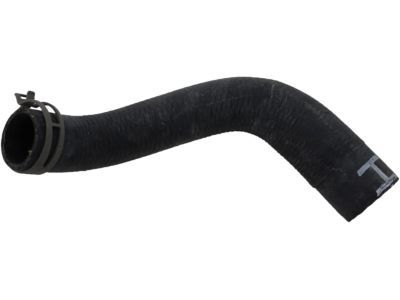 Dodge Magnum Radiator Hose - 55038144AA