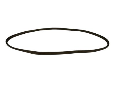 2014 Dodge Charger Weather Strip - 68040060AH