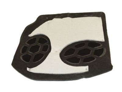 Mopar 1WS41DX9AC Carpet-Insert