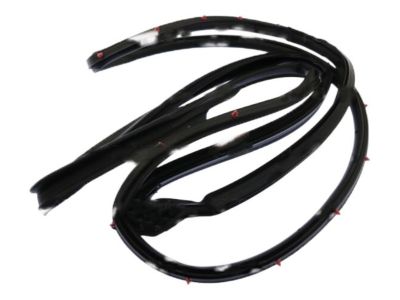 Chrysler Pacifica Weather Strip - 68188724AD
