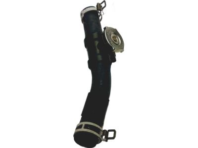 Dodge Dakota Radiator Hose - 52028810AJ