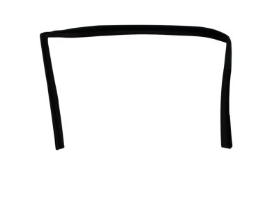 Mopar 5074561AH WEATHERSTRIP-Front Door Glass