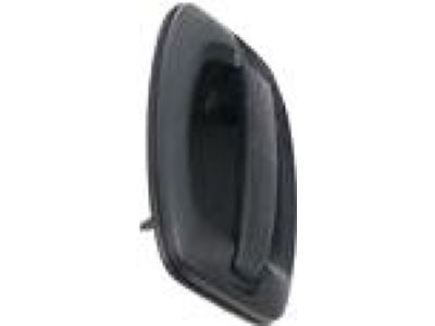 Mopar 5RJ91JXWAB Exterior Door