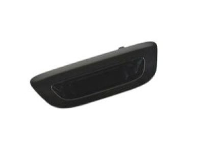 2017 Chrysler Pacifica Tailgate Handle - 5RP06AXRAA