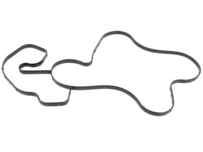 2018 Ram 3500 Water Pump Gasket - 4893149AA