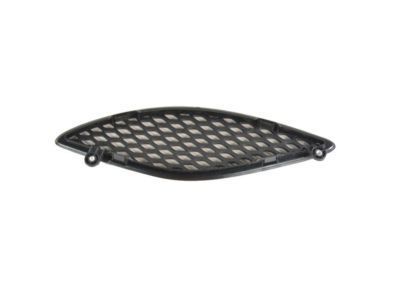 Mopar 68202580AC Bezel-Hood