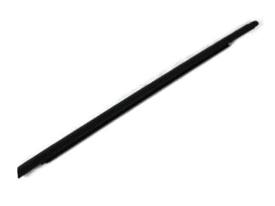 Dodge Magnum Weather Strip - 4806001AF