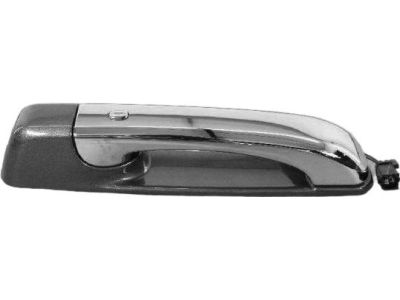 Ram 3500 Door Handle - 1UJ881FAAG