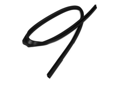 2011 Ram 4500 Door Seal - 55372136AE