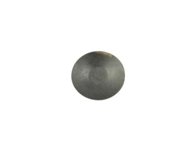 Mopar 1ZQ13JXWAA Plug