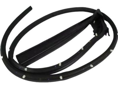 Dodge Challenger Door Seal - 4575888AB
