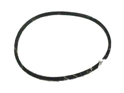 Chrysler Concorde Fuel Pump Gasket - 4581239