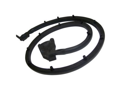 Jeep 55009828