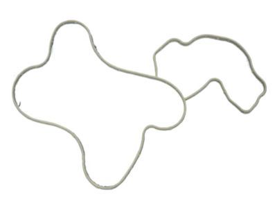 2016 Ram 2500 Water Pump Gasket - 53022209AD