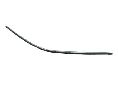 Dodge Challenger Door Seal - 4575902AE