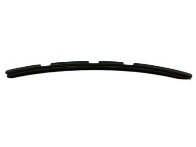 Mopar 4865579AA Weatherstrip Door Belt Inner