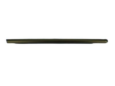 2005 Dodge Magnum Door Seal - 4806000AB