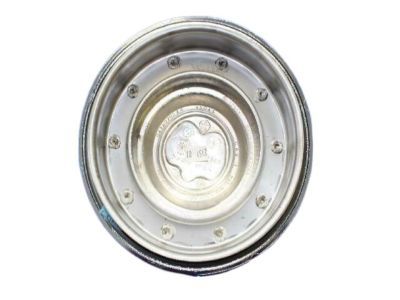 Dodge Magnum Wheel Cover - 4895432AA