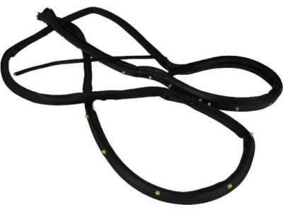 Dodge Durango Weather Strip - 55399186AG