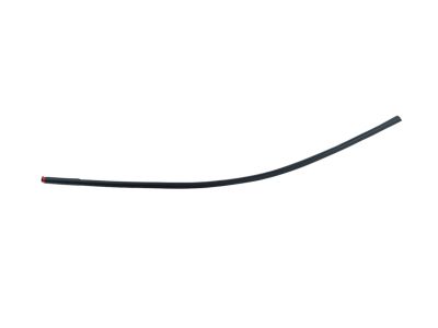 Mopar 68257477AD Molding-Day Light Opening